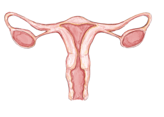 Vaginal discharge
